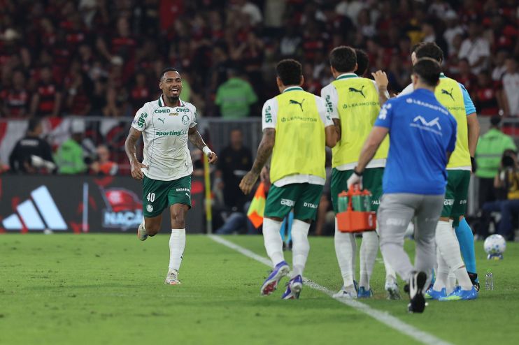 Allan marcou o segundo gol do Palmeiras