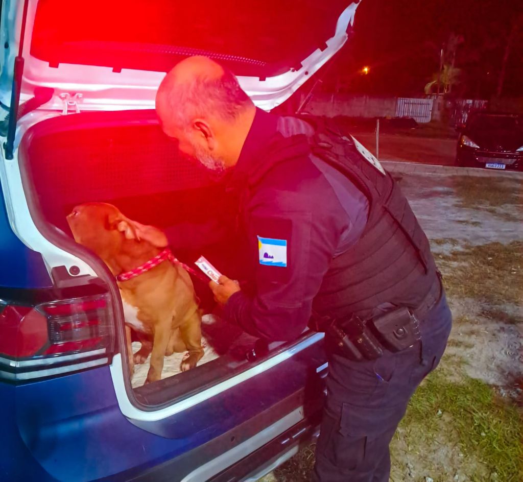 O animal foi encaminhado para atendimento veterinário em uma clínica da região e o tutor foi levado para a Delegacia da Polícia Civil