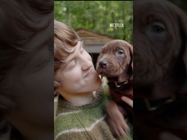 Scooby-Doo é revelado #netflix